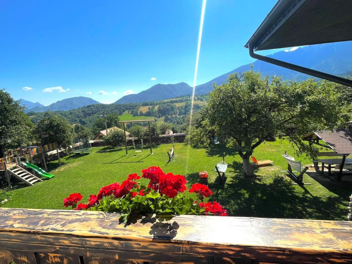 Casa Mesterului Sohodol  Buitenkant foto