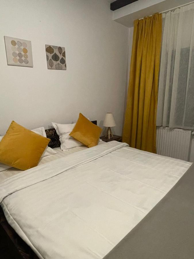 Casa Mesterului Sohodol  Buitenkant foto